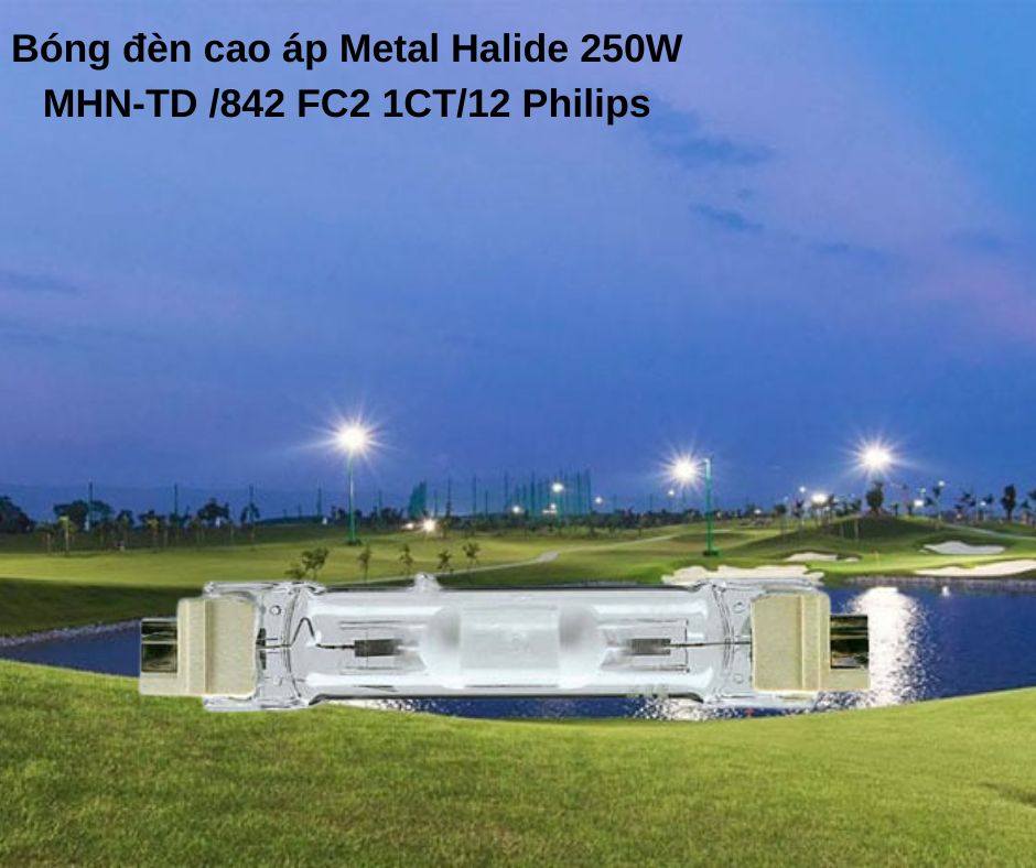 Bóng đèn cao áp Metal Halide 250W MHN-TD /842 FC2 1CT/12 Philips 4 Ứng dụng đa dạng