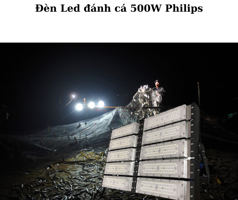 Đèn Led đánh cá 500W Philips 4 Ứng dụng đa dạng