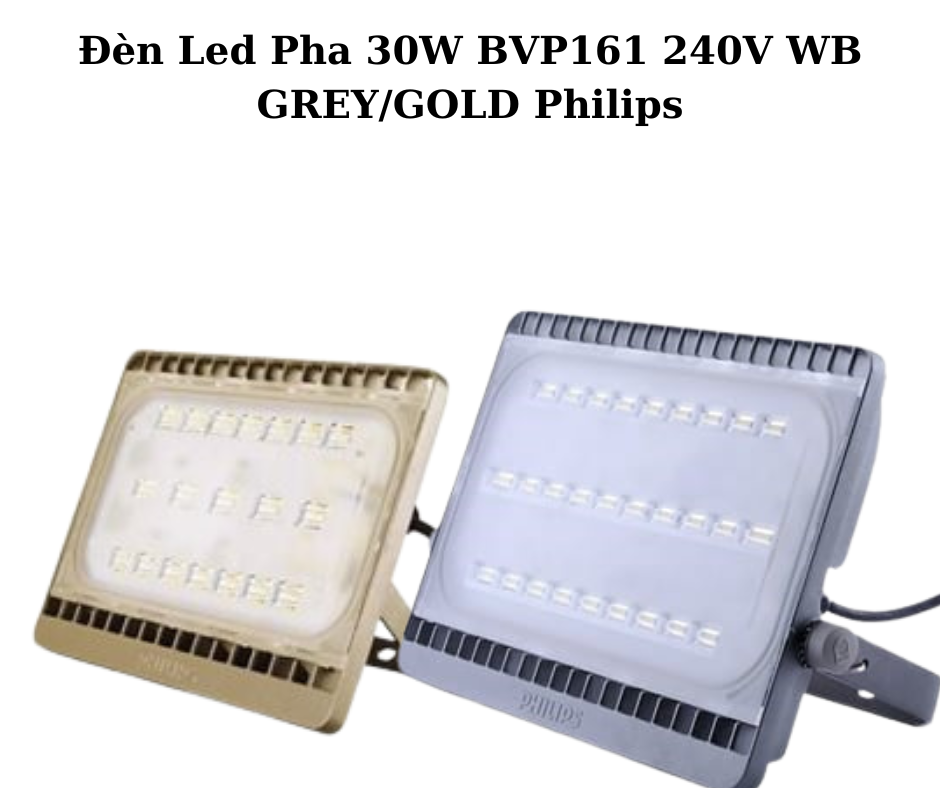 Đèn Led Pha 30W BVP161 240V WB GREY/GOLD Philips 5 Thông Số Kỹ Thuật Chi Tiết