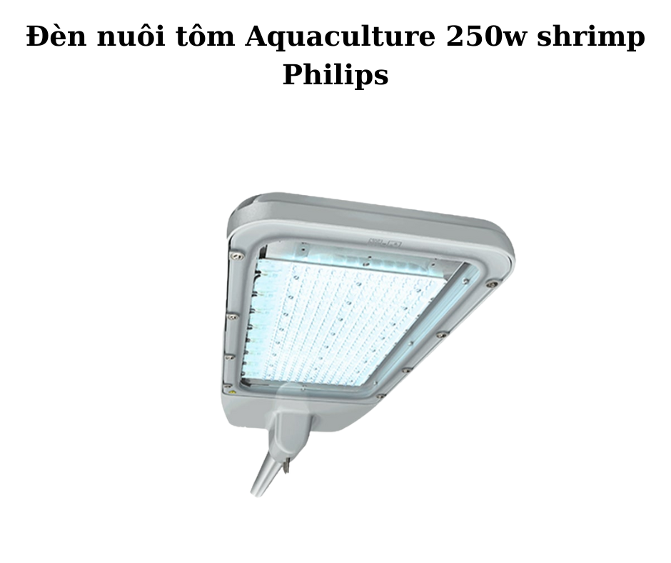 Đèn nuôi tôm Aquaculture 250w shrimp Philips 2 Thiết kế hiện đại và chắc chắn