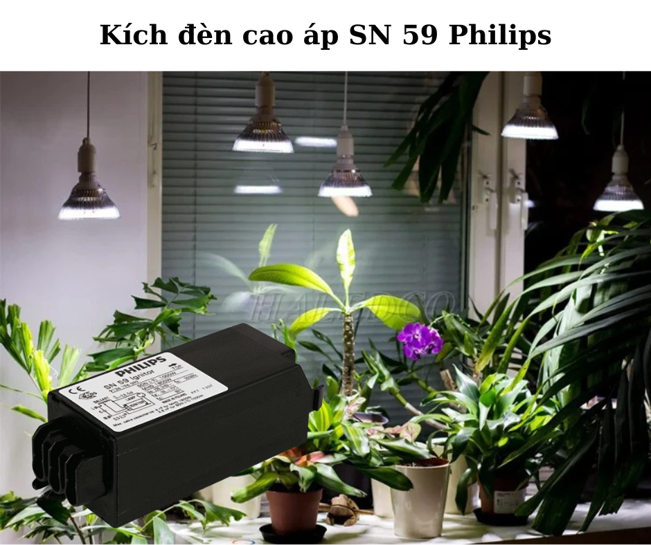 Kích đèn cao áp SN 59 Philips 4 Ứng dụng đa dạng