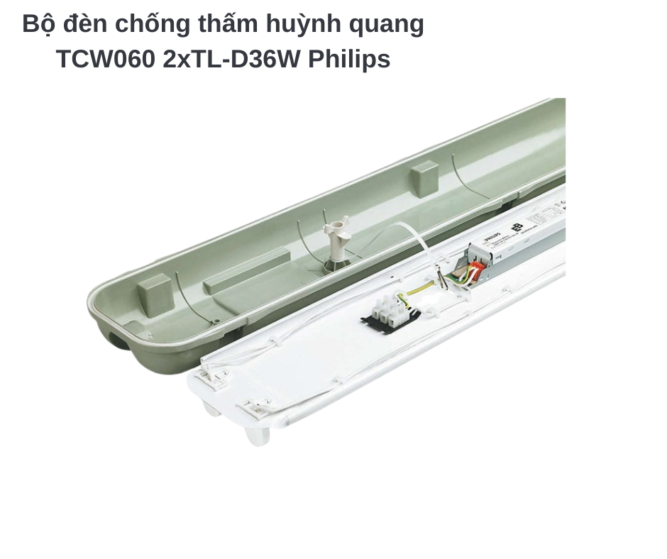 Bộ đèn chống thấm huỳnh quang TCW060 2xTL-D36W Philips 5 Thông số kỹ thuật chi tiết