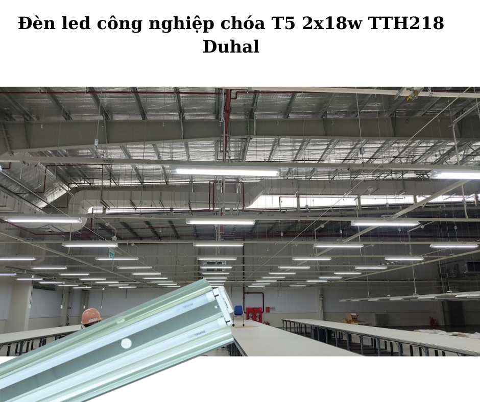 Ứng dụng đa dạng
