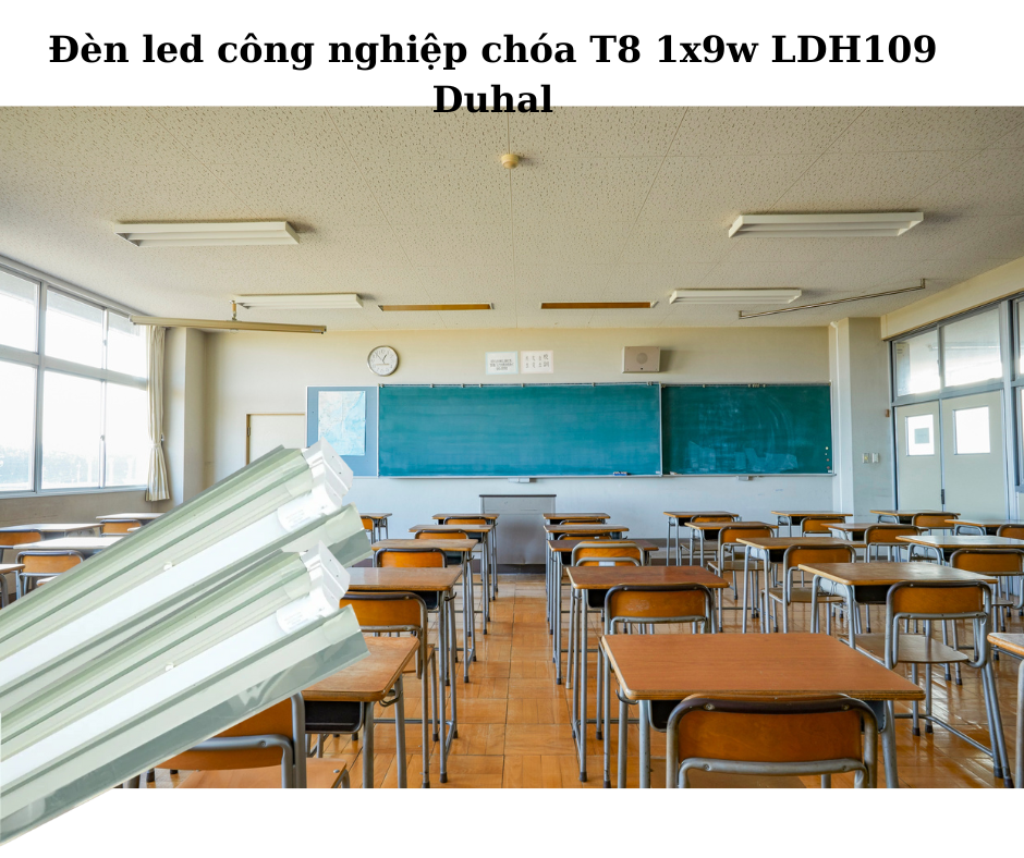 Ứng Dụng Đa Dạng Trong Thực Tế