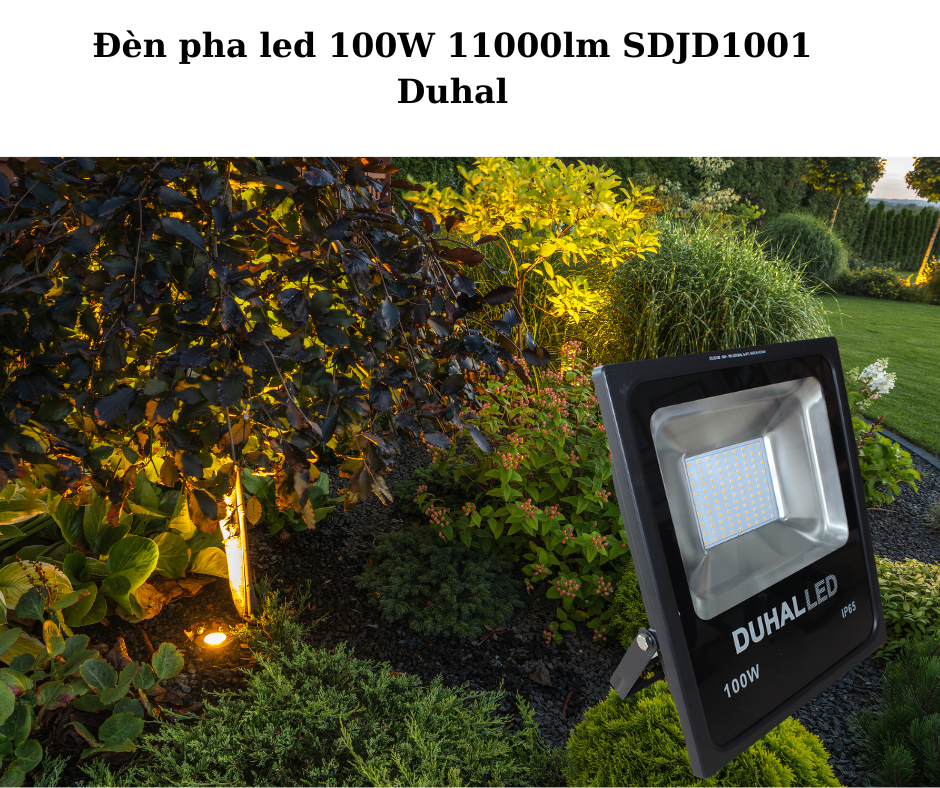 Ứng dụng đa dạng 