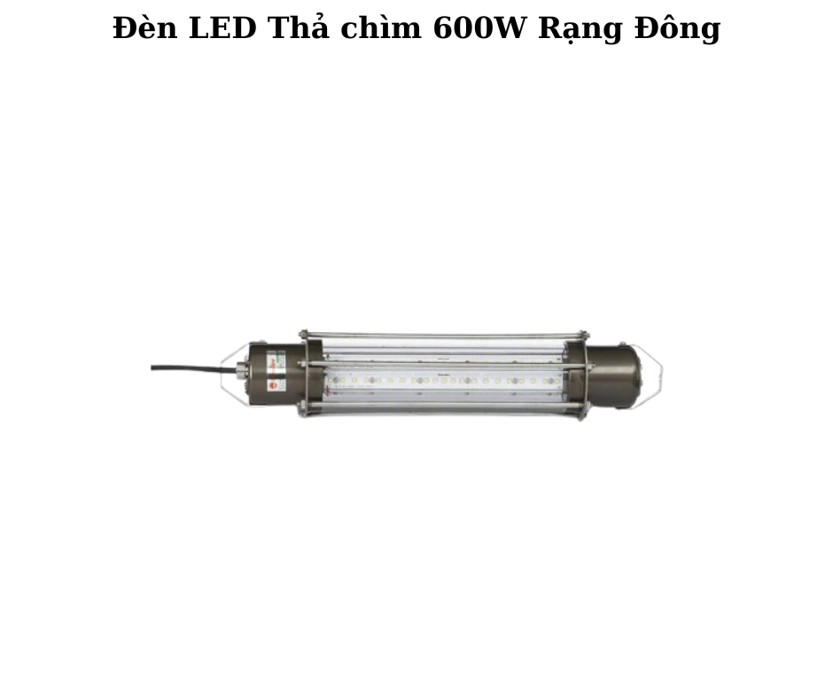 Đèn LED Thả chìm 600W Rạng Đông 2 Thiết kế hiện đại và chắc chắn