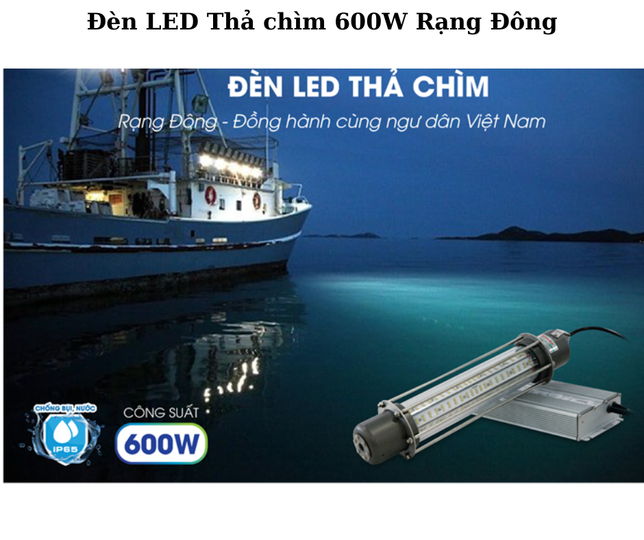 Đèn LED Thả chìm 600W Rạng Đông 4 Ứng dụng đa dạng
