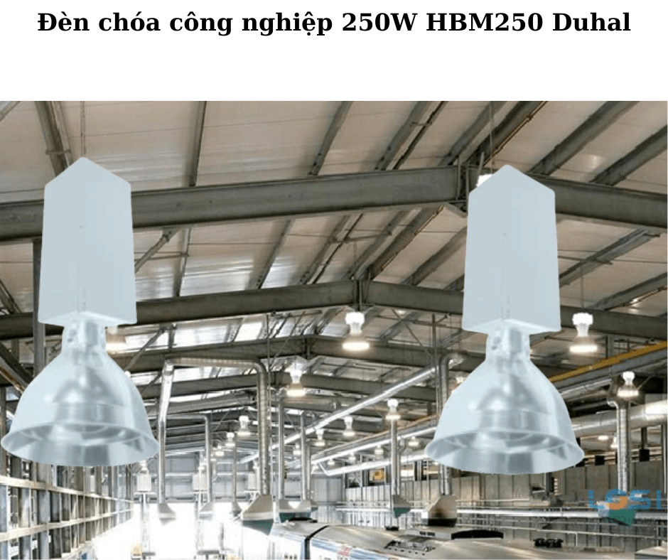 Đèn chóa công nghiệp 250W HBM250 Duhal 4 Ứng Dụng Rộng Rãi Trong Nhiều Môi Trường