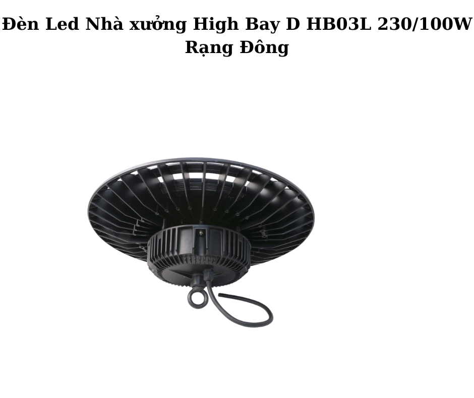 Đèn Led Nhà xưởng High Bay D HB03L 230/100W Rạng Đông 5 Hướng dẫn lắp đặt và sử dụng