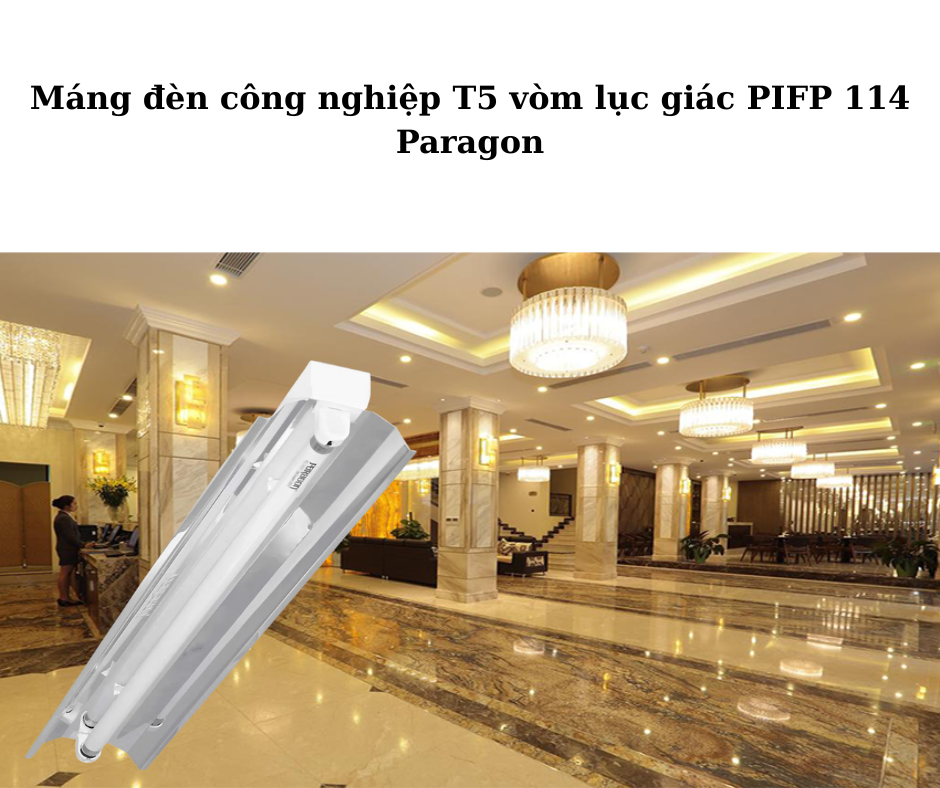 Ứng dụng đa dạng 