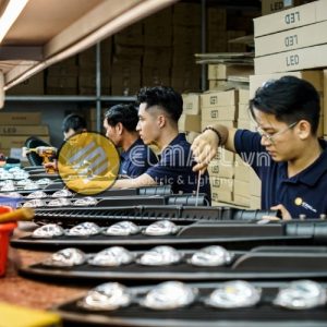 hoạt động nhà xưởng elmall