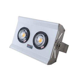 Đèn chiếu bè DC 150w Rạng Đông