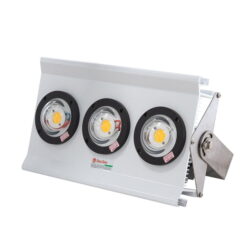 Đèn LED Đánh cá 300W Rạng Đông